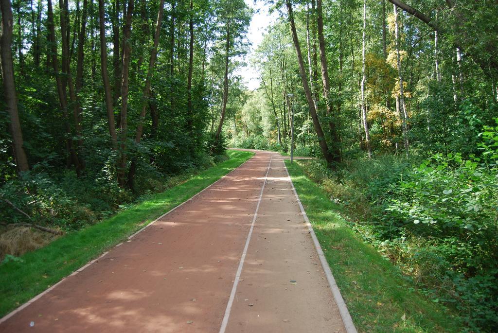 Turkusowy Polanki